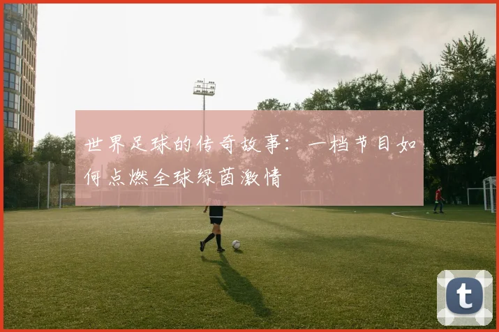 世界足球的传奇故事：一档节目如何点燃全球绿茵激情