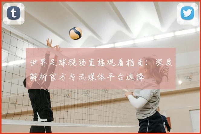 世界足球现场直播观看指南：深度解析官方与流媒体平台选择